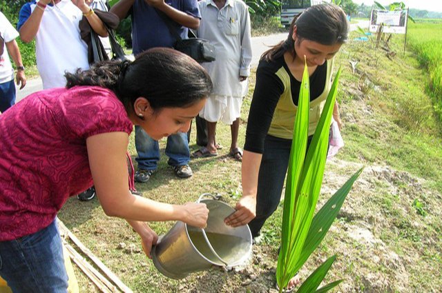 plant-water